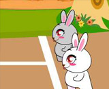 Rabbit Marathon - 