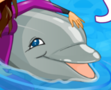 My Dolphin Show - Dolphin, Show, Fun, Times